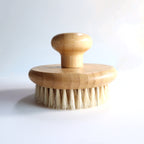 Wooden Body Brush