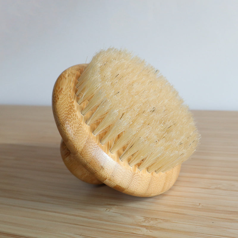 Wooden Body Brush