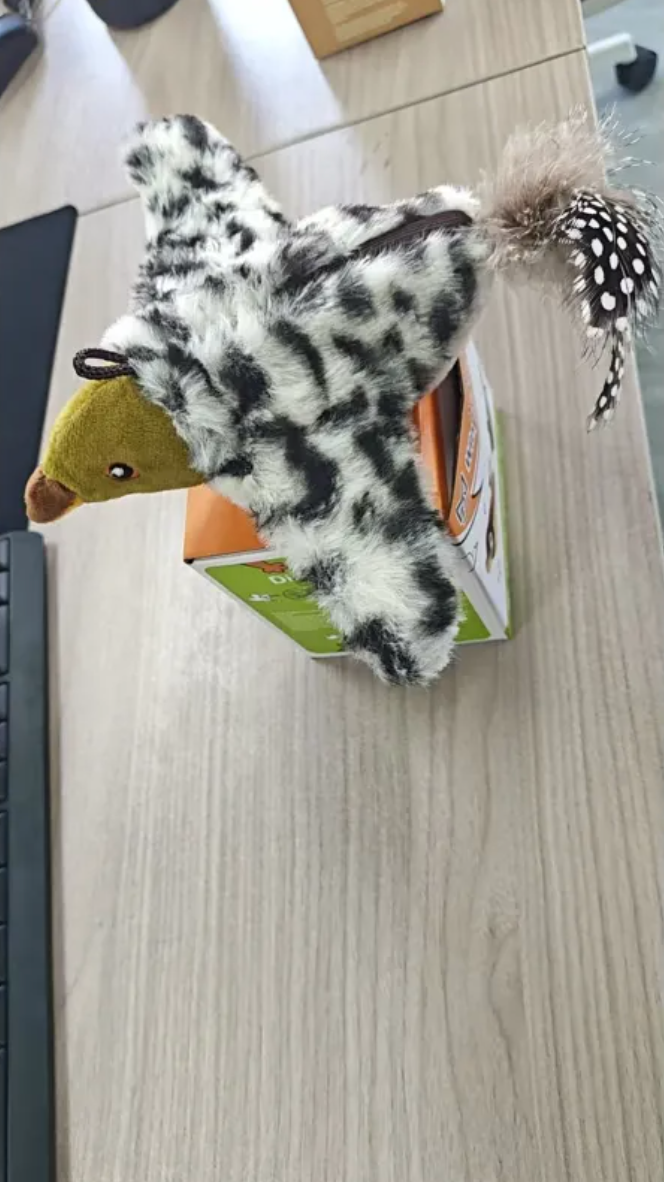 Jouet en peluche oiseau pour animaux de compagnie